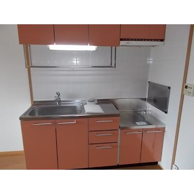 メゾン・ド・リーヴＢ 203【管理NO：1-012020702-02030】 ★家具家電は申し込み後に搬入します★の物件画像