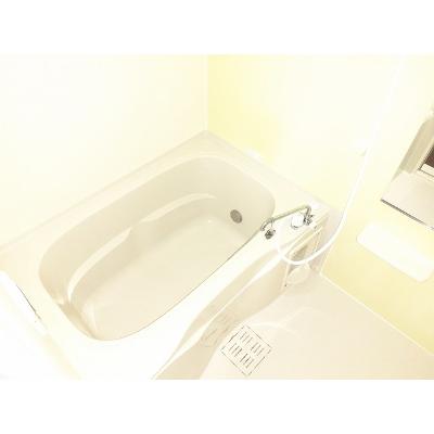マサール哲学の道 204【管理NO：1-019817701-02040】 2026年07月中旬入居可能の物件画像