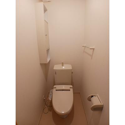 カーサスカイⅢ 305【管理NO：1-018232901-03040】 2026年07月上旬入居可能の物件画像