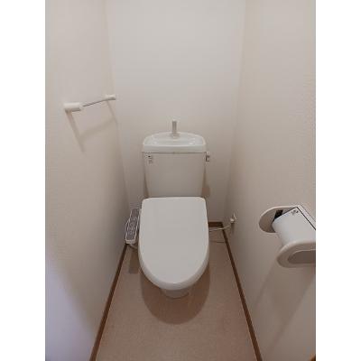 エレガンテ 203【管理NO：1-011585401-02030】 ★家具家電は申し込み後に搬入します★の物件画像