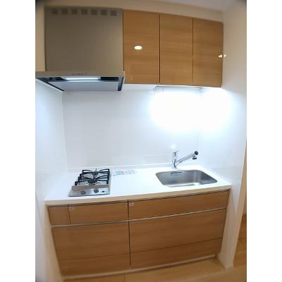 カルム　新久 205【管理NO：1-028364401-02050】 ★家具家電は申し込み後に搬入しますの物件画像