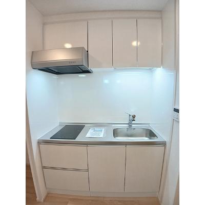 サピー日英Ⅲ 304【管理NO：1-028296101-03040】 ★家具家電は申し込み後に搬入します★の物件画像