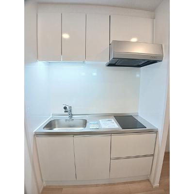 サピー日英Ⅲ 301【管理NO：1-028296101-03010】 ★家具家電は申し込み後に搬入します★の物件画像