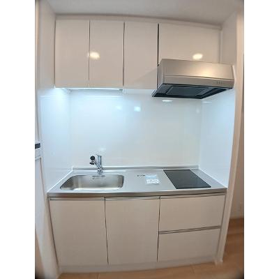 サピー日英Ⅲ 201【管理NO：1-028296101-02010】 ★家具家電は申し込み後に搬入します★の物件画像