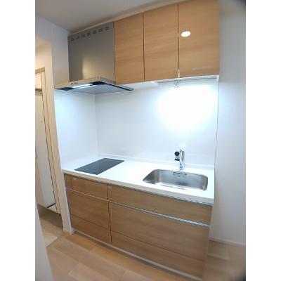 たばさはうすⅡ 203【管理NO：1-028176701-02030】 ★家具家電は申し込み後に搬入しますの物件画像