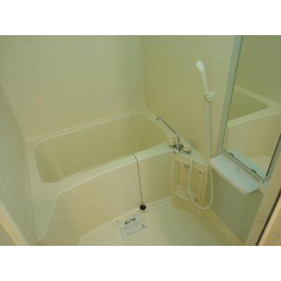 Ｃａｓａ 401【管理NO：1-014154501-04010】 2026年07月上旬入居可能の物件画像