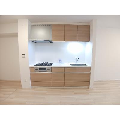 カームデイズ 104【管理NO：1-027530801-01040】 ★家具家電は申し込み後に搬入します★の物件画像