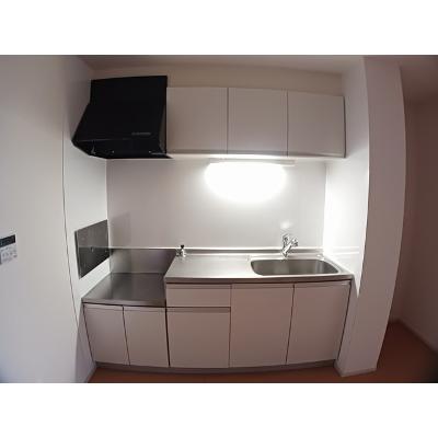 カルム川面 103【管理NO：1-019138601-01030】 ★家具家電は申し込み後に搬入しますの物件画像