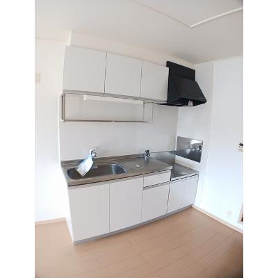 ジークフリーデンⅡ 202【管理NO：1-016023802-02020】 ★家具家電は申し込み後に搬入しますの物件画像