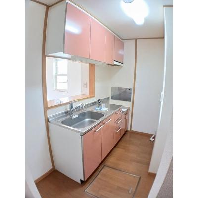 デスパシオ下戸田 101【管理NO：1-013306001-01010】 ★家具家電は申し込み後に搬入しますの物件画像