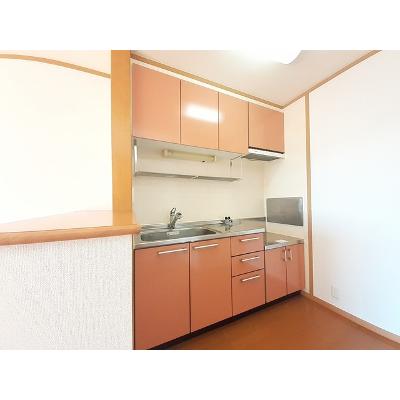 ヴィラ・ポポラーレⅡ 203【管理NO：1-012835002-02030】 ★家具家電は申し込み後に搬入しますの物件画像