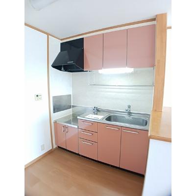 エレガンシア 202【管理NO：1-012807001-02020】 ★家具家電は申し込み後に搬入しますの物件画像