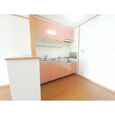 エレガンシア 201【管理NO：1-012807001-02010】 ★家具家電は申し込み後に搬入しますの物件画像