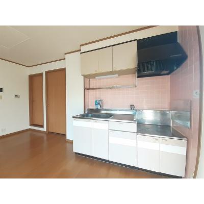 エルフランド 203【管理NO：1-007482701-02030】 ★家具家電は申し込み後に搬入します 2026年07月下旬入居可能の物件画像