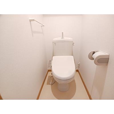 パレ・エクセラン 204【管理NO：1-012991101-02040】 ★家具家電は申し込み後に搬入します★の物件画像