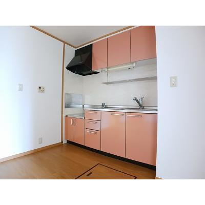 アウローラＭ　Ａ 102【管理NO：1-012700001-01020】 ★家具家電は申し込み後に搬入しますの物件画像