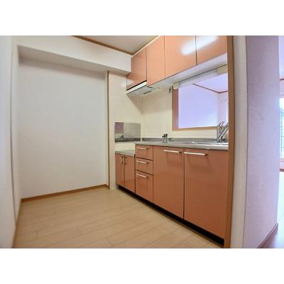 パレ・ロジュマン 203【管理NO：1-012680501-02030】 ★家具家電は申し込み後に搬入します★の物件画像