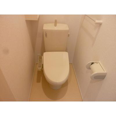 ポラリスⅢ 101【管理NO：1-021905301-01010】 ★家具家電は申し込み後に搬入しますの物件画像