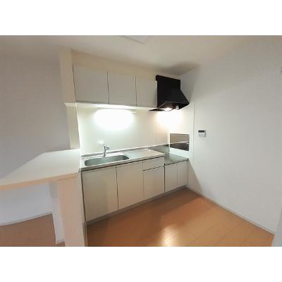 ディアス・カーサ 202【管理NO：1-020093001-02020】 ★家具家電は申し込み後に搬入しますの物件画像