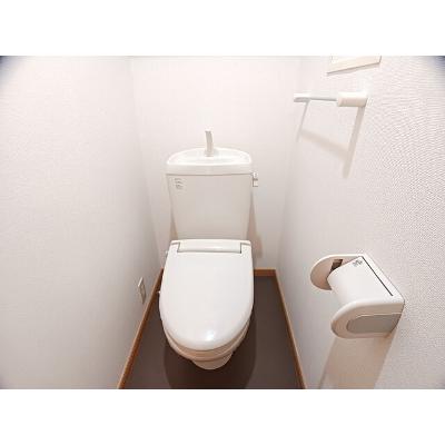 シャトレーゼ 201【管理NO：1-013877101-02010】 ★家具家電は申し込み後に搬入します★の物件画像