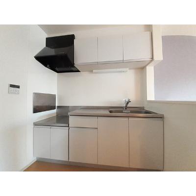 ディアス・カーサ 204【管理NO：1-020093001-02040】 ★家具家電は申し込み後に搬入しますの物件画像