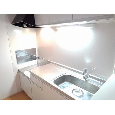 カーサ・２５５Ｂ 203【管理NO：1-019869202-02030】 ★家具家電は申し込み後に搬入します★の物件画像
