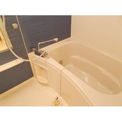 フェリア糸井Ｅ 101【管理NO：1-016291501-01010】 ★家具家電は申し込み後に搬入しますの物件画像