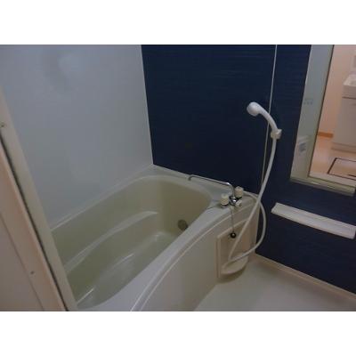 グラン・レーヴ 202【管理NO：1-015601901-02020】 ★家具家電は申し込み後に搬入しますの物件画像