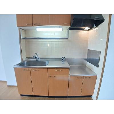 リバーサイド片山 203【管理NO：1-010517201-02030】 ★家具家電は申し込み後に搬入しますの物件画像