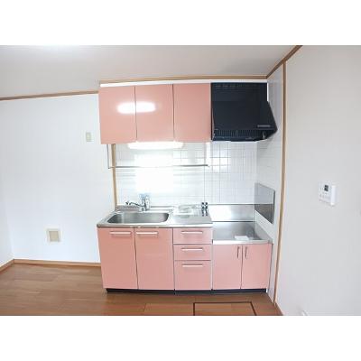 ジェルメ 103【管理NO：1-011957001-01030】 ★家具家電は申し込み後に搬入します★の物件画像