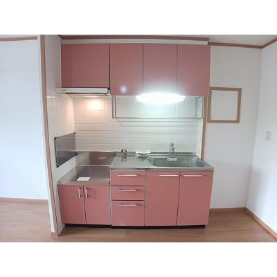 アンソレイエ　（小瀬町） 205【管理NO：1-012144701-02040】 ★家具家電は申し込み後に搬入します★の物件画像