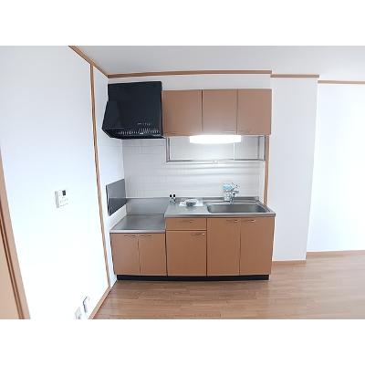 エクシージュⅠ 202【管理NO：1-011579001-02020】 ★家具家電は申し込み後に搬入しますの物件画像