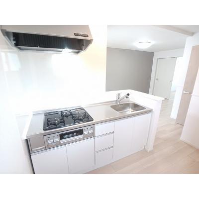 サングレイス 201【管理NO：1-027906501-02010】 ★家具家電は申し込み後に搬入しますの物件画像