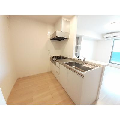 ヴィオラ　パッソⅧ 203【管理NO：1-024360002-02030】 ★家具家電は申し込み後に搬入しますの物件画像