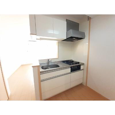 フェリス 601【管理NO：1-017901201-06010】 ★家具家電は申し込み後に搬入しますの物件画像