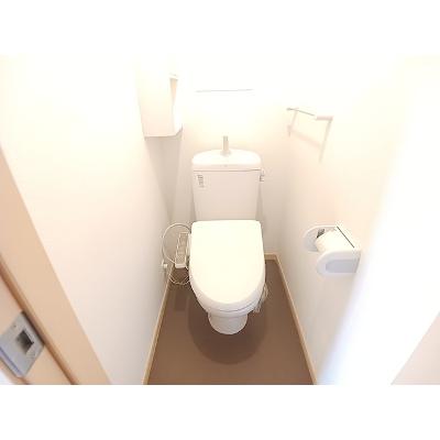 スカイピア 203【管理NO：1-015215702-02030】 ★家具家電は申し込み後に搬入しますの物件画像
