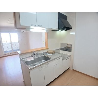 フラワーパーク 201【管理NO：1-014539701-02010】 ★家具家電は申し込み後に搬入します 2026年08月上旬入居可能の物件画像