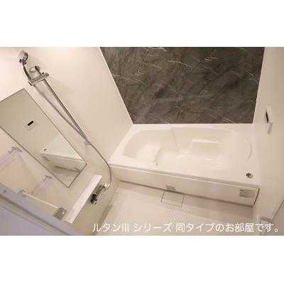 ソレアード　コート 106【管理NO：1-028282101-01060】 ★家具家電は申し込み後に搬入します★ ★2027年01月下旬入居可能★の物件画像