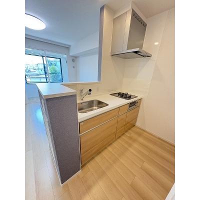 リバーサイドシトラス 203【管理NO：1-027464701-02030】 ★家具家電は申し込み後に搬入しますの物件画像