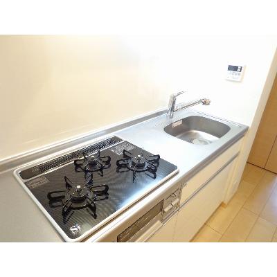 鶴野リバーサイドテラス 302【管理NO：1-018534901-03020】 ★家具家電は申し込み後に搬入しますの物件画像