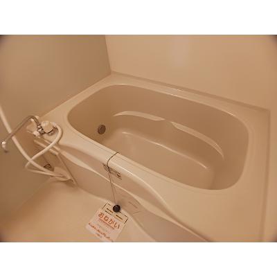 カルム　エレガンス 203【管理NO：1-018713401-02030】 ★家具家電は申し込み後に搬入します★の物件画像
