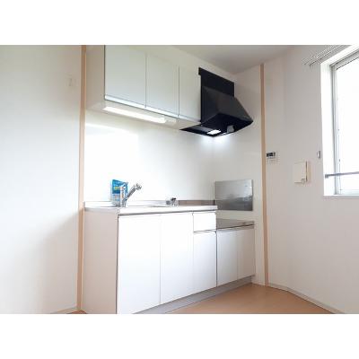 ダイアナ　ヴィレッジ 205【管理NO：1-017813601-02040】 ★家具家電は申し込み後に搬入します★の物件画像