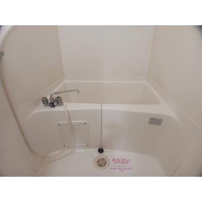 サンメゾン太子 203【管理NO：1-004090101-02030】 ★家具家電は申し込み後に搬入しますの物件画像