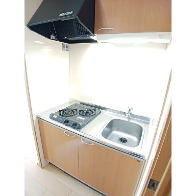 エステート・レイⅢ 303【管理NO：1-014317101-03030】 ★家具家電は申し込み後に搬入しますの物件画像