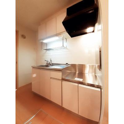 シャロルⅡ 103【管理NO：1-015881101-01030】 ★家具家電は申し込み後に搬入します★の物件画像