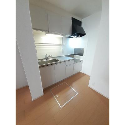 レジデンス根来 102【管理NO：1-017530501-01020】 ★家具家電は申し込み後に搬入しますの物件画像