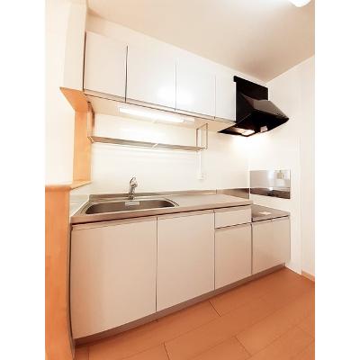 フラン 202【管理NO：1-016960001-02020】 ★家具家電は申し込み後に搬入しますの物件画像