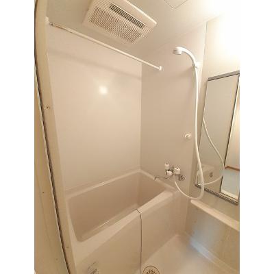 メゾン・エトワールⅡ 205【管理NO：1-013897301-02040】 ★家具家電は申し込み後に搬入します 2026年07月中旬入居可能の物件画像