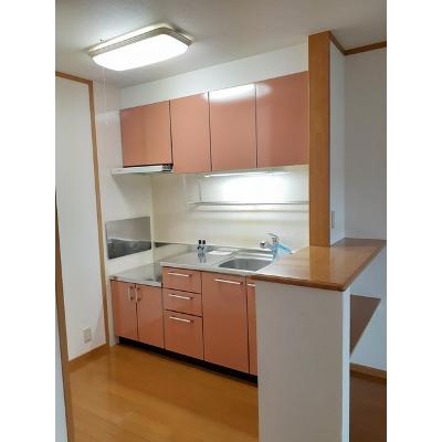 シェーネⅠ 202【管理NO：1-013090801-02020】 ★家具家電は申し込み後に搬入しますの物件画像