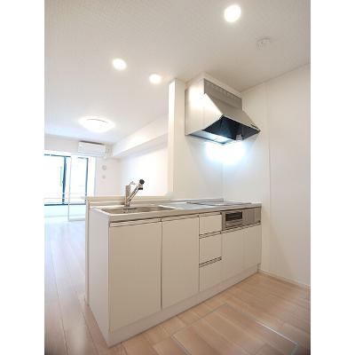 プレミアムメゾン 103【管理NO：1-028448001-01030】 ★家具家電は申し込み後に搬入します★の物件画像